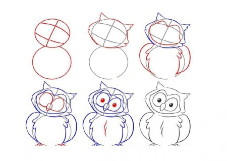 Поэтапное рисование Совы карандашом