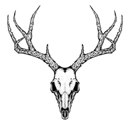 Череп оленя декор