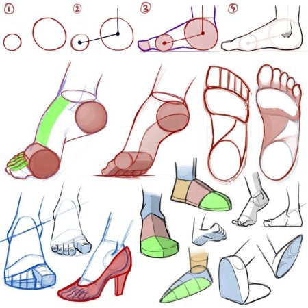 Анатомия женских ног для рисования