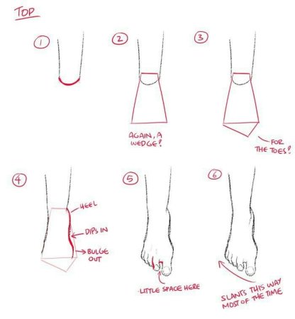 Анатомия женских ног для рисования