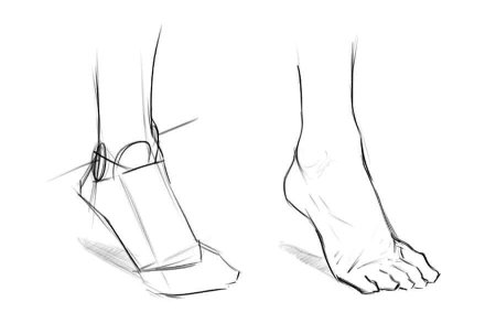 Стопа сбоку референс