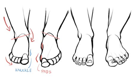 Референс ступни человека сбоку