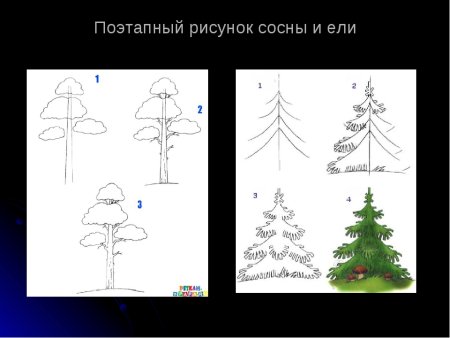 Схема рисования елки для дошкольников