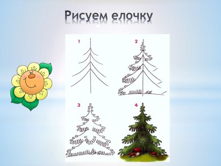 Рисование ели в старшей группе