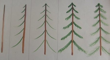 Поэтапное рисование елочки