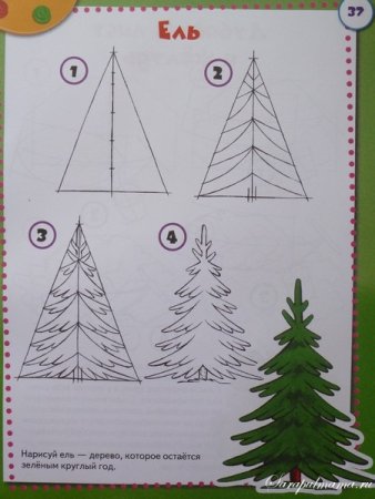 Поэтапное рисование елки