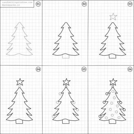 Рисование хвойные деревья в старшей группе