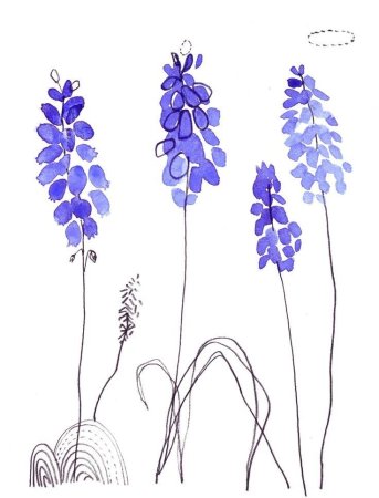 Стилизованная Лаванда