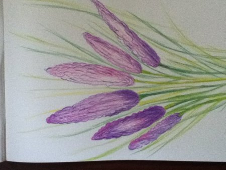 Лаванда рисунок маркерами