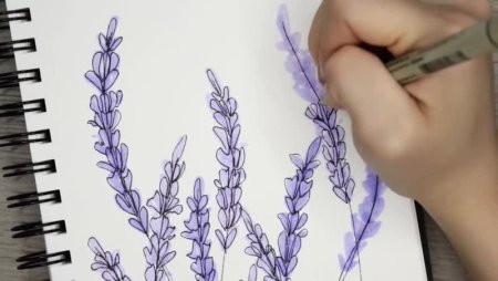 Лаванда стилизация