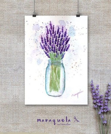 Лаванда для срисовки