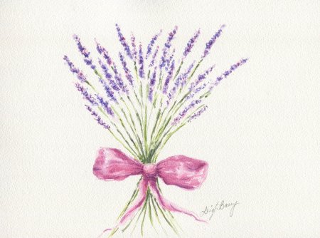 Лаванда контур