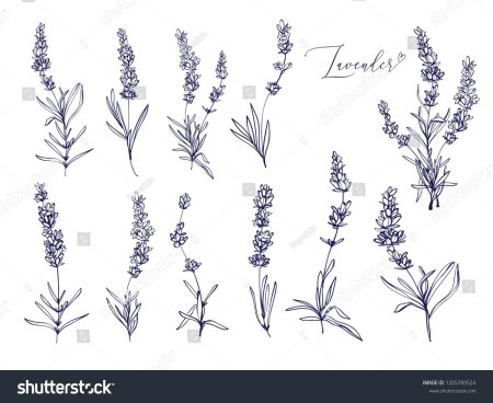 Рисунки в стиле Прованс