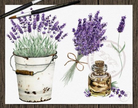 Веточка лаванды силуэт