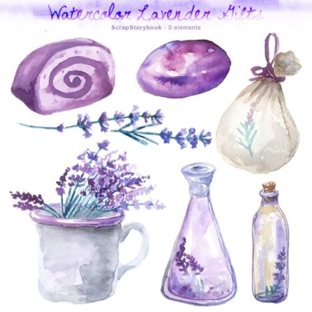 Лаванда Графика