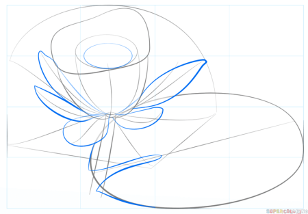 Поэтапное рисование лотоса