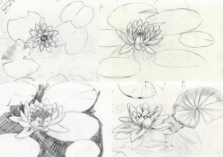 Водяная Лилия карандашом