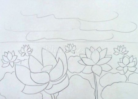 Озеро лотосов рисунок карандашом