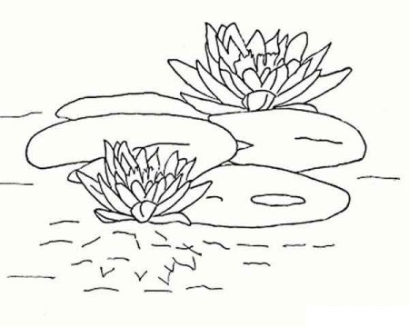 Раскраска пруд с кувшинками