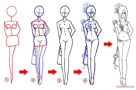 Рисование тела для начинающих