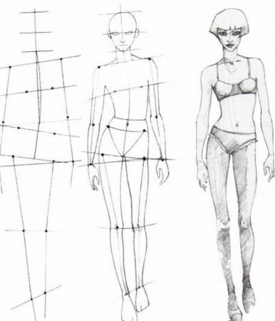 Пропорции женской фигуры для рисования