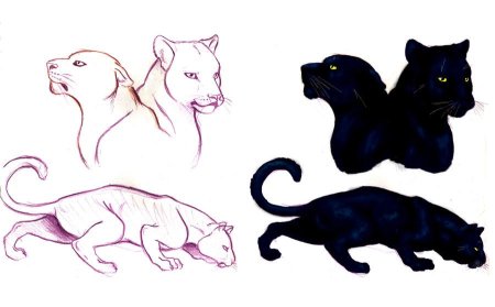 Пантера карандашом