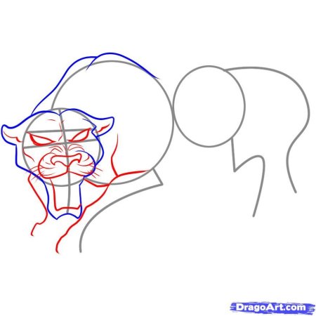 Пошаговый рисунок пантеры