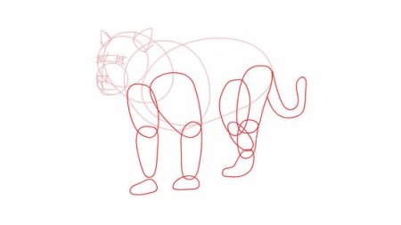 Пошаговое рисование пантеры