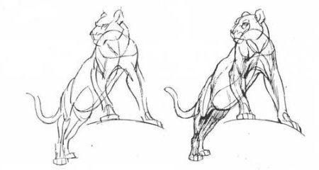 Пантера в движении рисунок