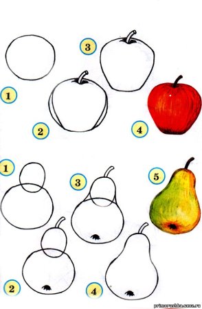 Пошаговое рисование фруктов