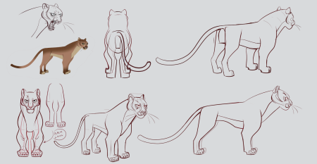 Пантера рисунок поэтапно