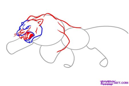 Нарисовать пантеру поэтапно для начинающих
