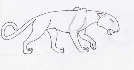 Пантера рисунок карандашом