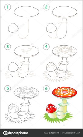 Поэтапное рисование гриба