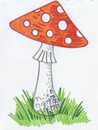 Рисование грибов карандашами