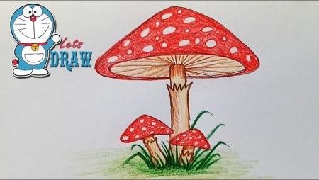 Мухомор рисунок карандашом