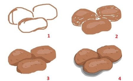 Поэтапное рисование картошки