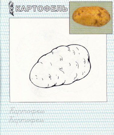 Рисовать картофель
