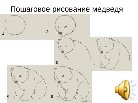 Поэтапное рисование ме
