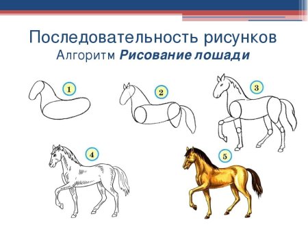 Последовательность рисования иллюстраций