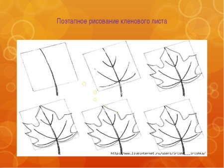 Лист клена поэтапное рисование