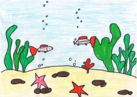 Морское дно рисунок — актиния и кораллы