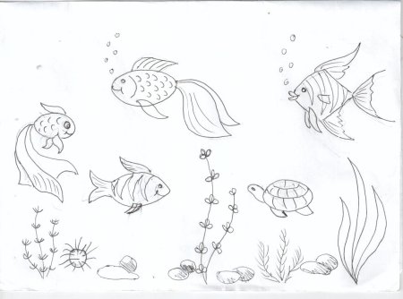 Морское дно рисунок для детей - 76 фото