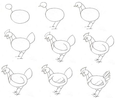 Курица легкий рисунок