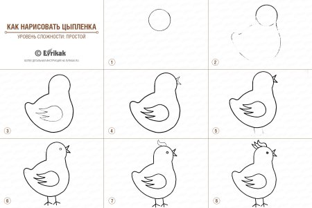 Поэтапное рисование курицы для детей