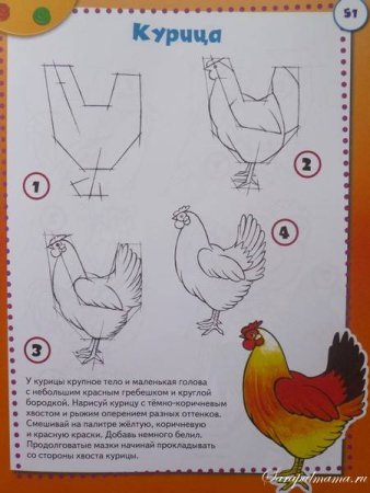 Как рисовать курицу