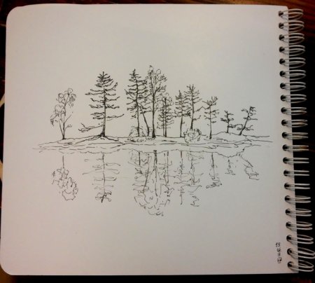 Рисунки линером для начинающих