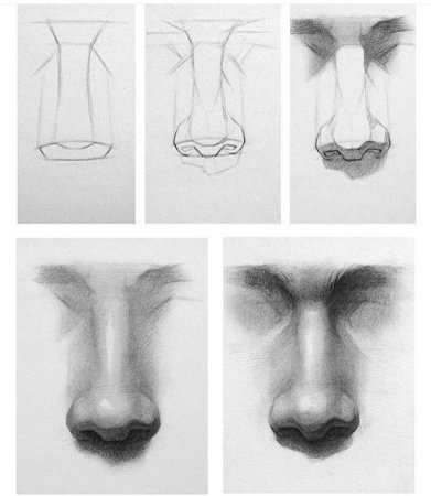 Поэтапность рисования носа