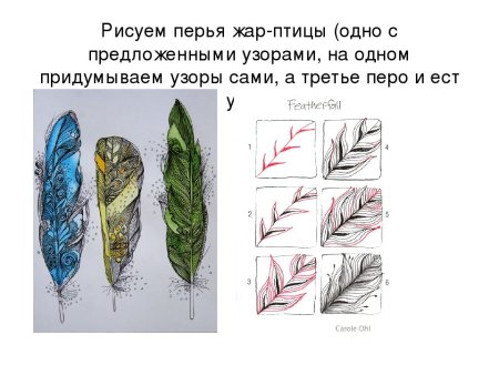 Перо голубя рисунок