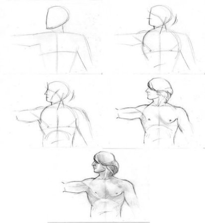 Фигура человека рисунок Академический пропорции